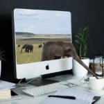 パソコン画面から象の鼻が出ている写真